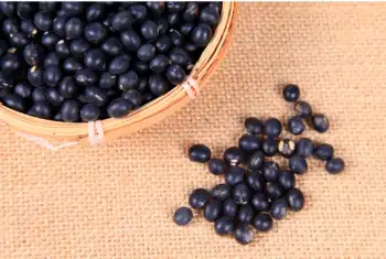 검은콩 효능 및 영양소, 가격