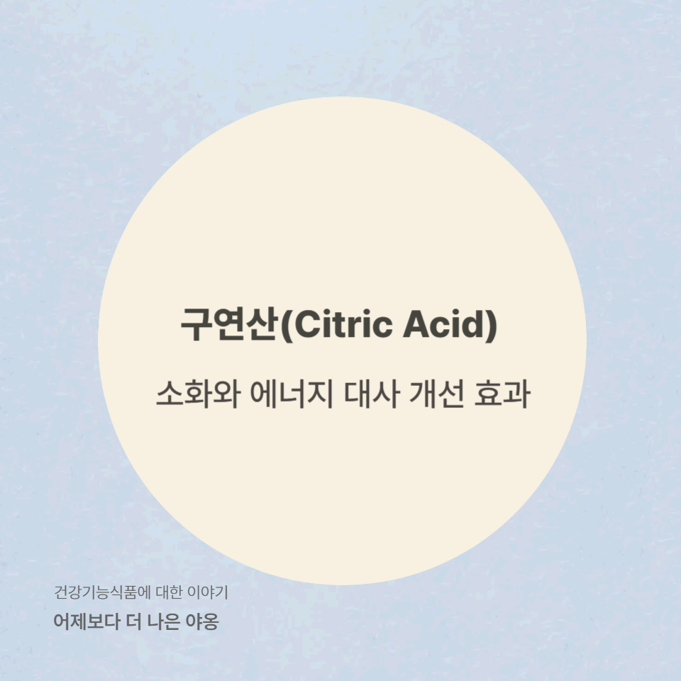구연산(시트릭애씨드)의 효능! 소화와 에너지 대사 개선 효과 완전 정리