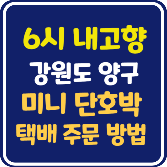 6시 내고향 강원도 양구 미니 단호박 택배 주문 방법