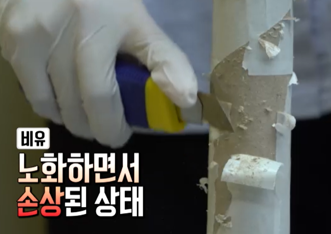 프로테오글리칸 효능