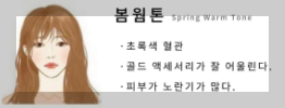 봄 웜톤 특징