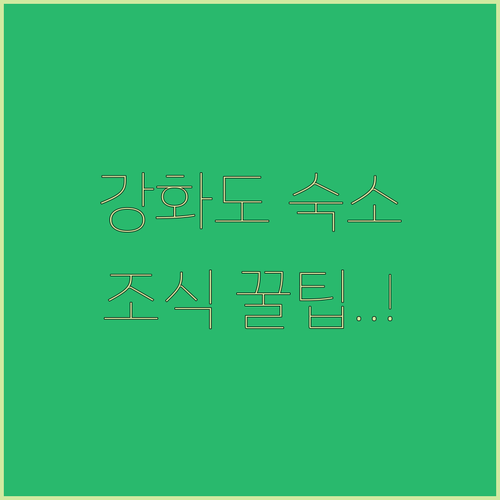 직접 확인한 강화도 숙소 사진과 수영..