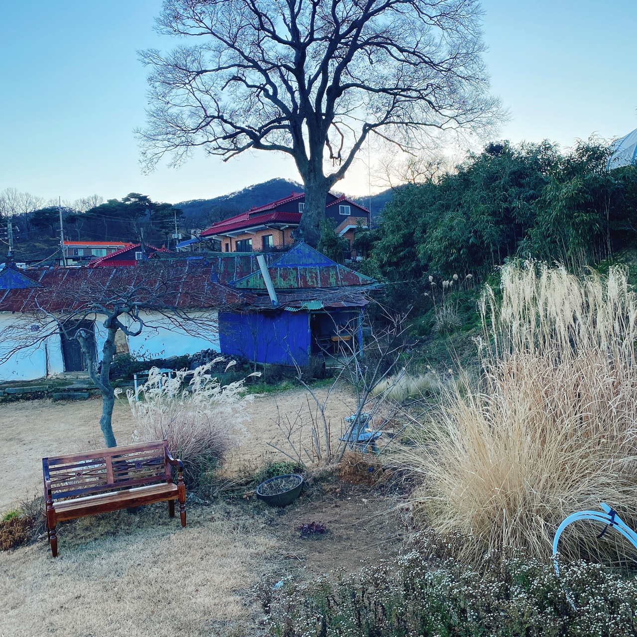 강화도 야생화 뜰 카페