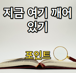 지금 여기 깨어있기 책 포인트