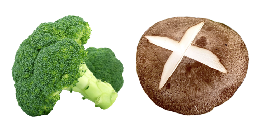 브로콜리와 표고버섯 이미지