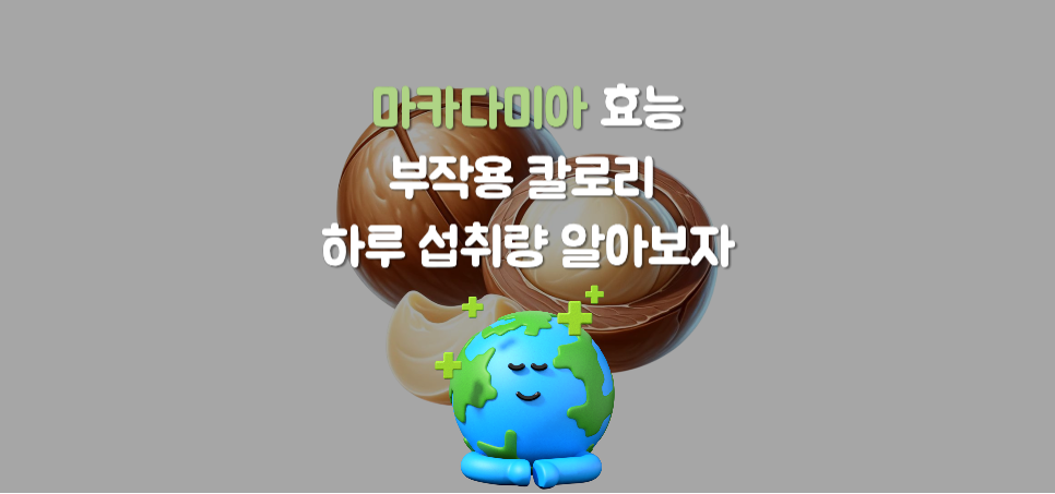 마카다미아 효능, 부작용, 칼로리, 하루 섭취량 제대로 알고 드세요!
