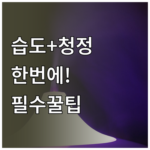 실내 습도와 공기 질을 한 번에 잡는..