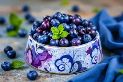 강아지에게 안전한 과일 대안