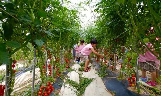 로렌츠감성치유시골체험