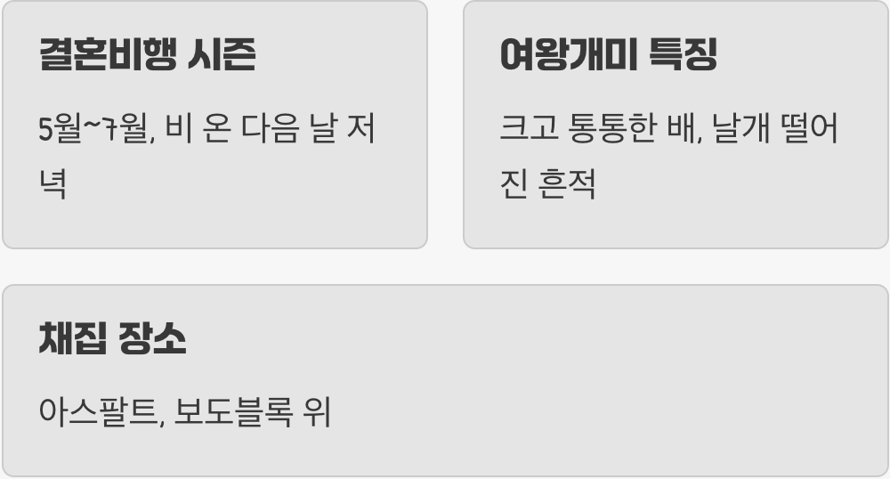 왕국의 시작, 여왕개미를 찾아서