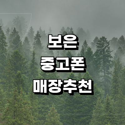 보은군 중고폰