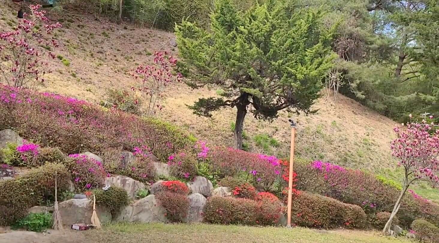 봉곡사