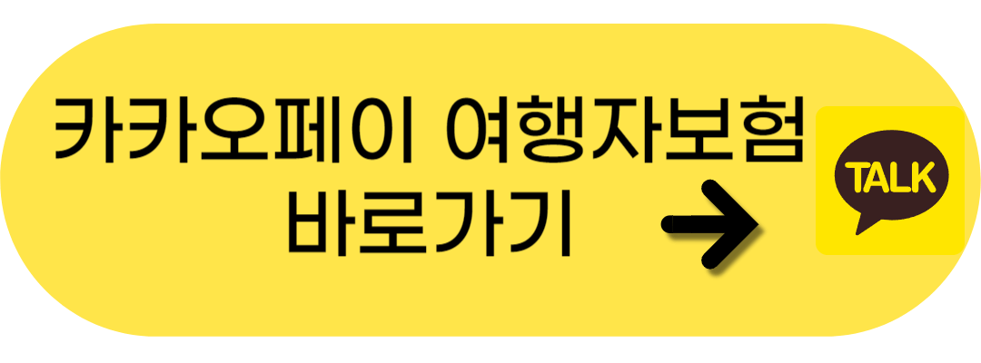 카카오페이 여행자보험