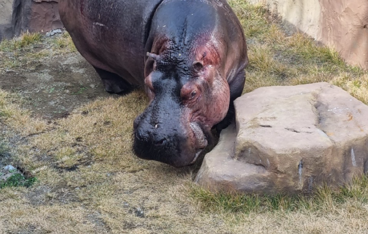 아라마루 아쿠아리움