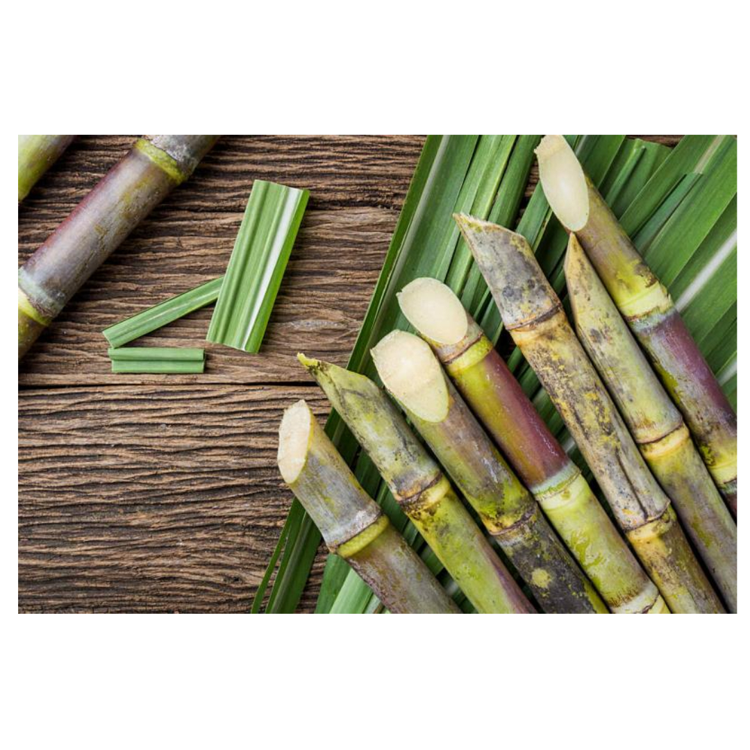 폴리코사놀 효능