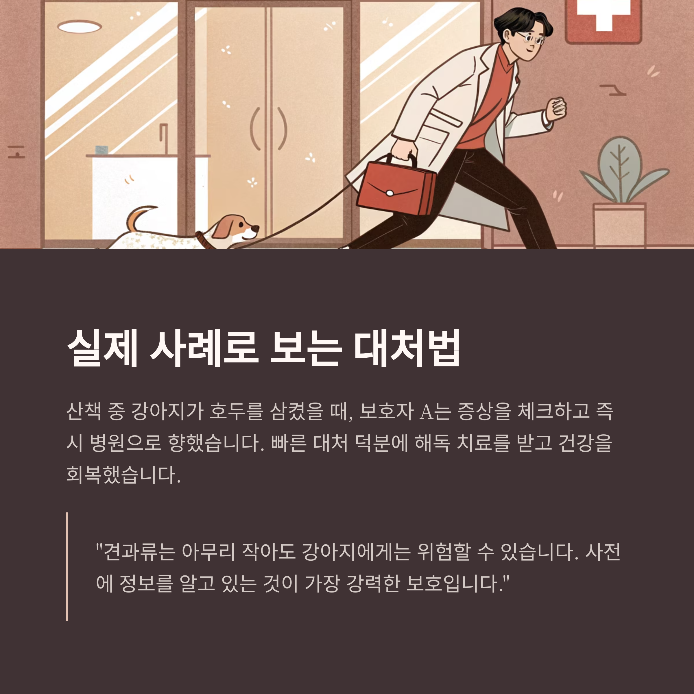 실제 사례로 보는 대처법