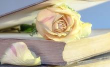 향수 유통기한&amp;#44; 보관방법