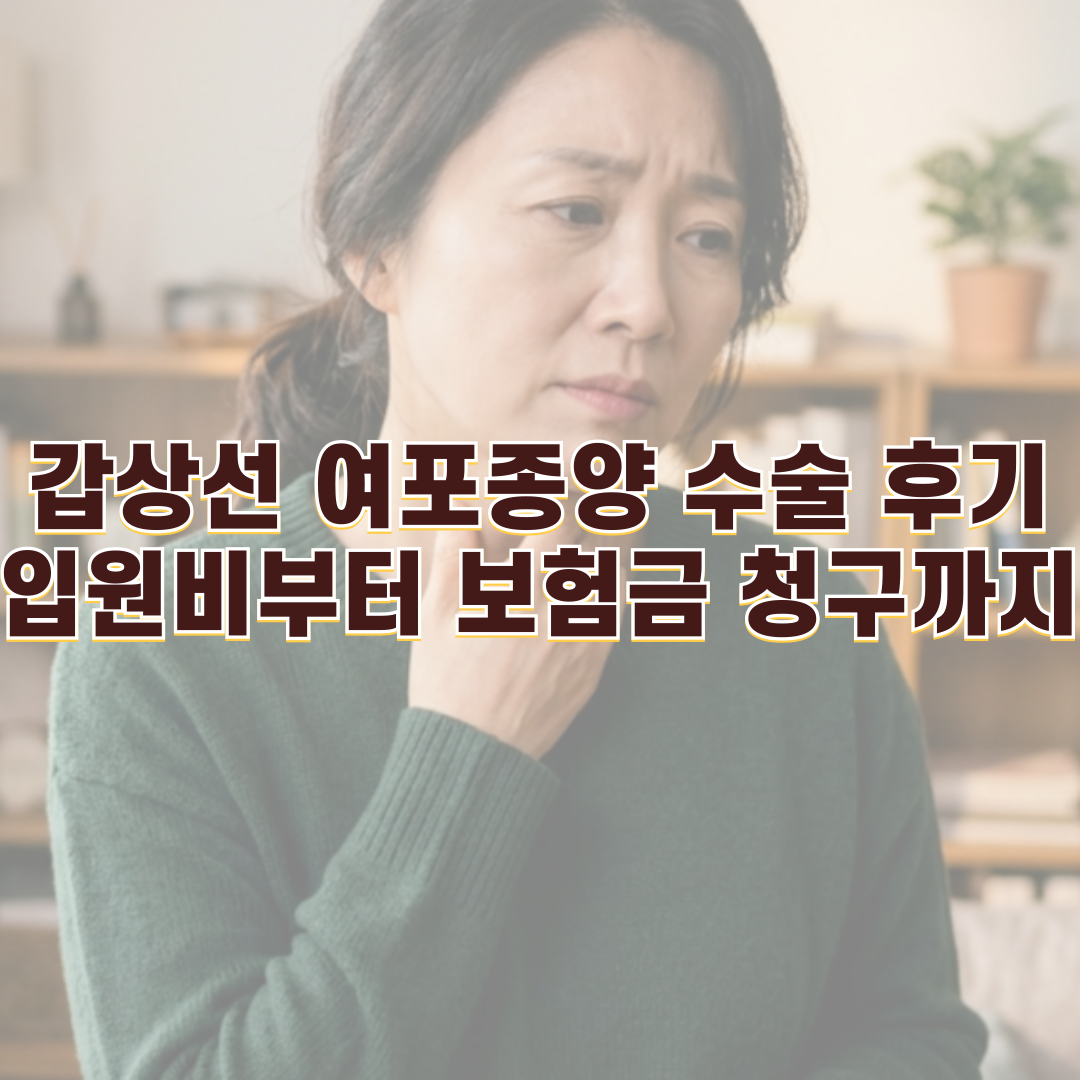 보험 청구