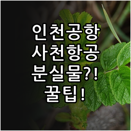 인천공항 사천항공 터미널 위치와 분실..