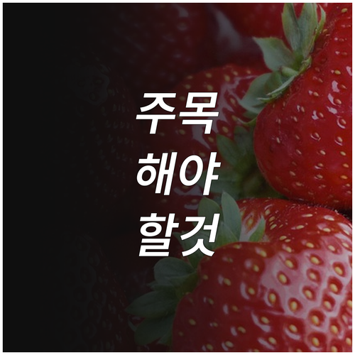 2025 가정양육수당 몰랐다면 손해 ..