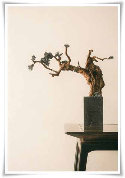 "8 체질 자가 진단" 나는 어떤 체질일까? 자신의 체질을 진단해 보세요!