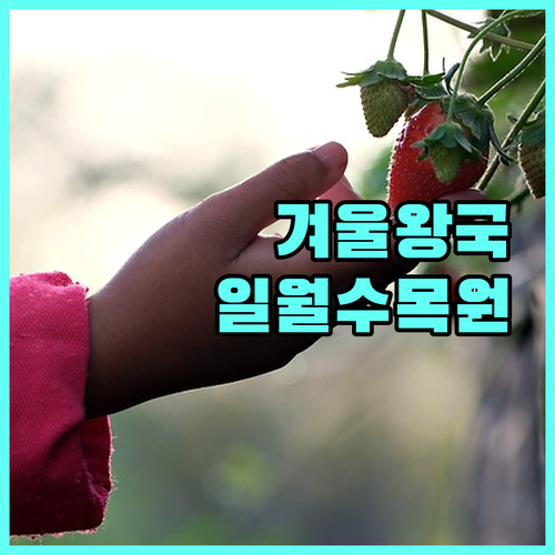 수원 장안구 겨울 실내 데이트 추천 ..