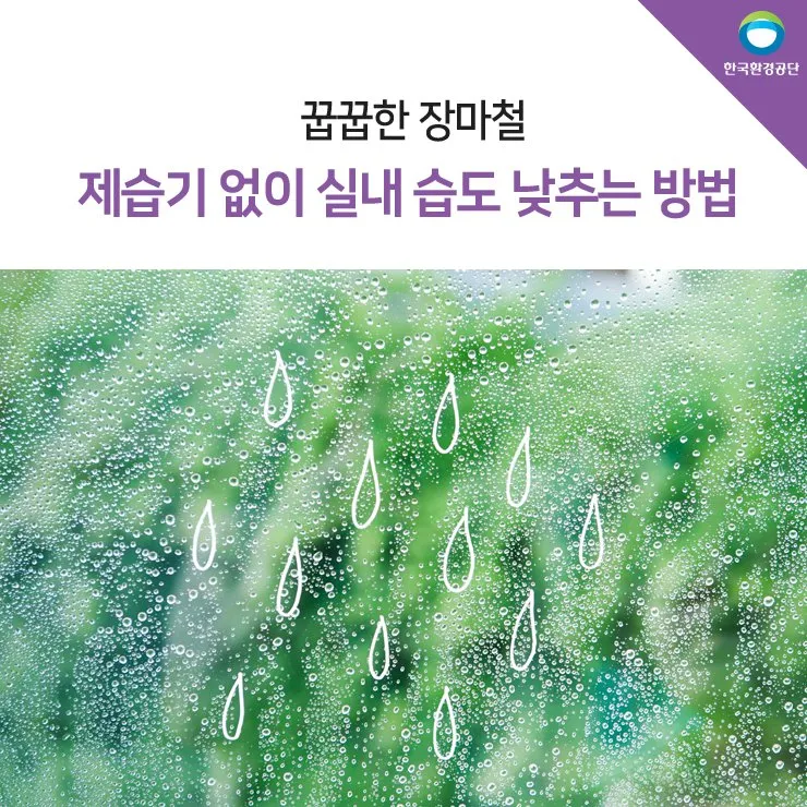 제습기 없이 습기 제거 끝 숯 염화칼슘 등 천연 제습제 활용법 완벽 가이드_3