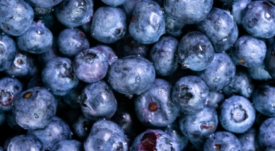 블루베리이미지