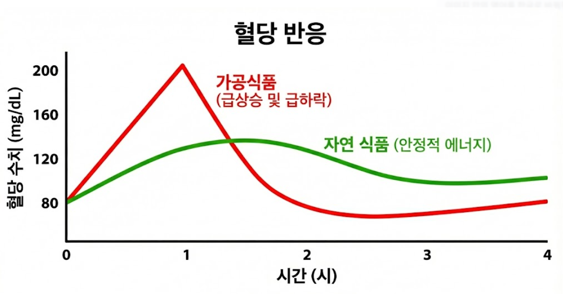 가공식품 섭취와 천연식품 섭취 시 혈당 변화 비교 그래프