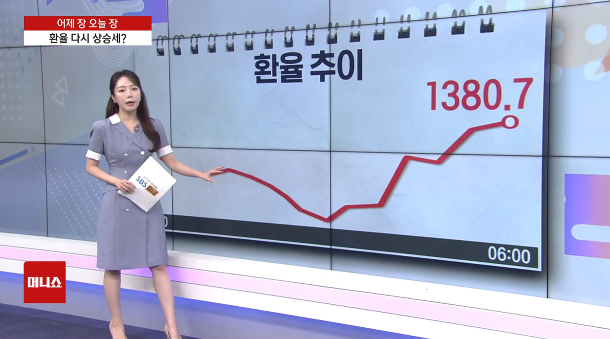 환율 원화약세 항공우주 방위산업 기술주 제약 로봇