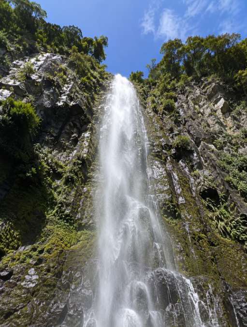 브라이달 베일 폴스(Bridal Veil Falls) 트랙워킹 완벽 가이드 (보드워크 원시림, 방문 전 알아야할 팁, 걷으며 느낀 점)