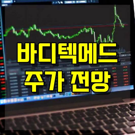 바디텍메드 주가 전망