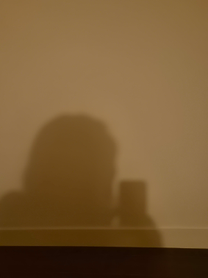 나만의 시간대 실험 - 아침형, 밤형, 양쪽 다 해보기 (2주 실험기)