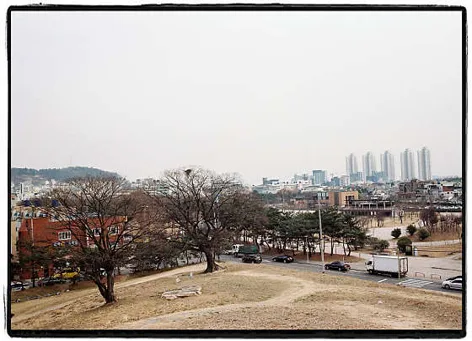 김해대성동고분군