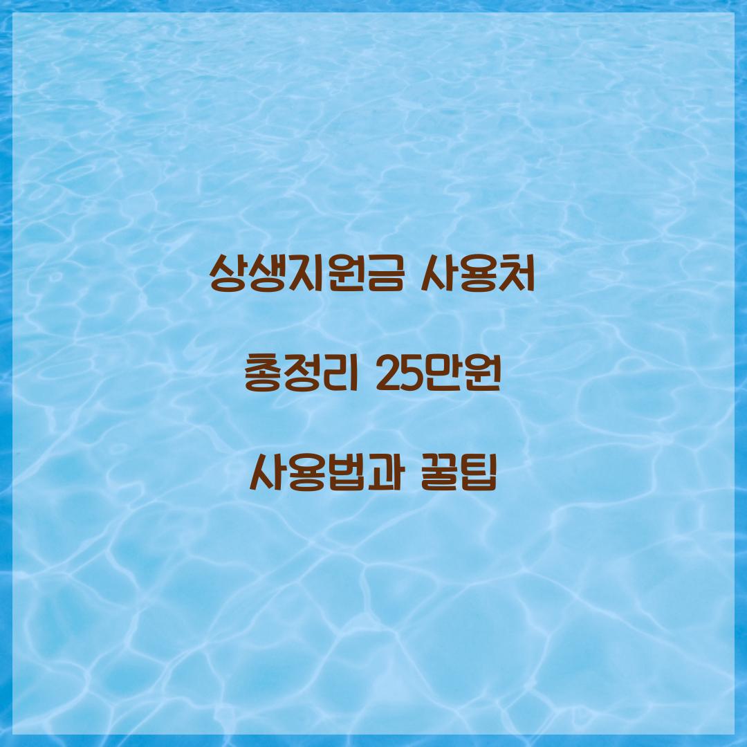 상생지원금 사용처