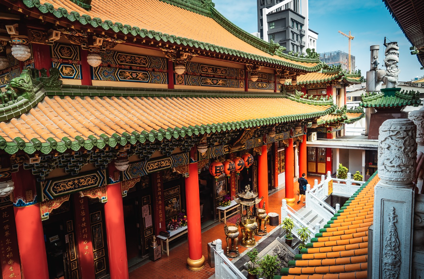 안핑 트리하우스 자연과 건축이 하나된 순간