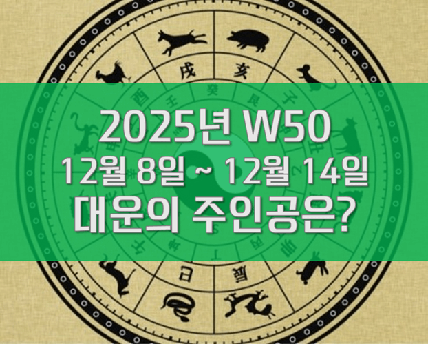 W50 주간운세