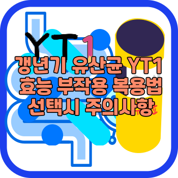 갱년기 유산균 YT1 효능 부작용 복용법 선택시 주의사항