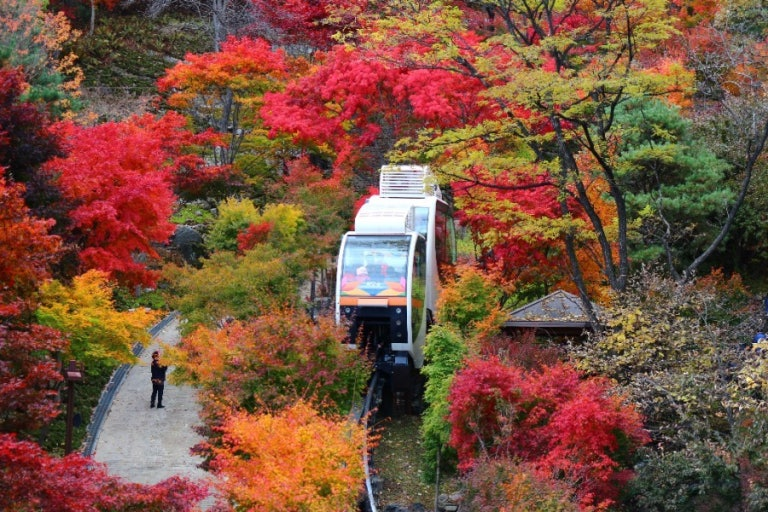 화담숲모노레일