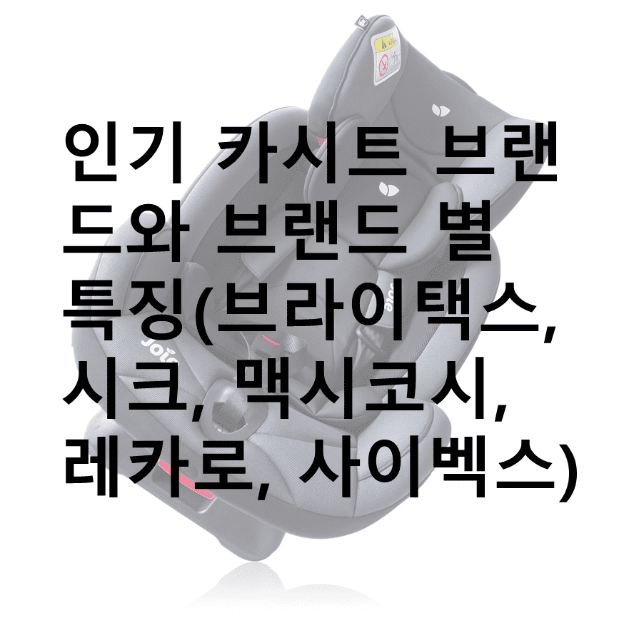 카시트 이미지에 포스팅 내용이 요약되어 있는 이미지. 인기 카시트 브랜드와 브랜드 별 특징(브라이택스, 시크, 맥시코시, 레카로, 사이벡스)