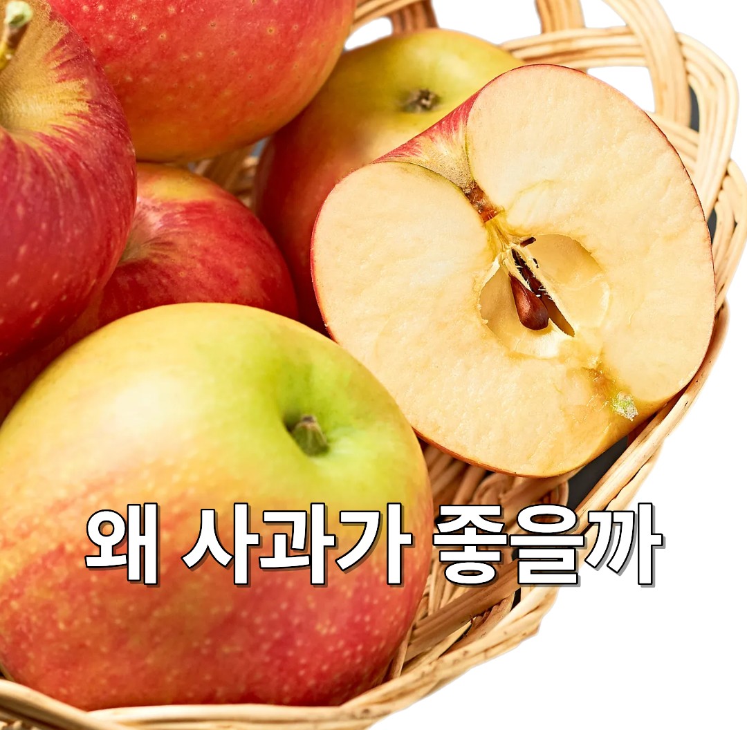 바구니에 담긴 사과와 잘린 사과 단면이 함께 보이는 이미지