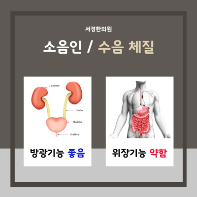 8체질의학 수음체질