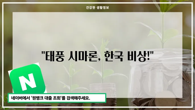 16호 태풍 시마론 예상 경로 피해 지역