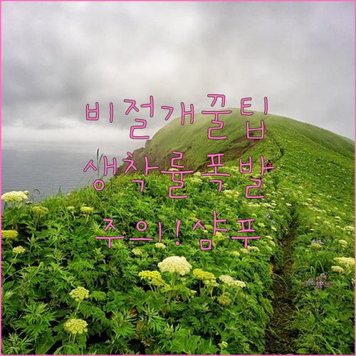 비절개 모발이식 생착률 높이는 샴푸 ..