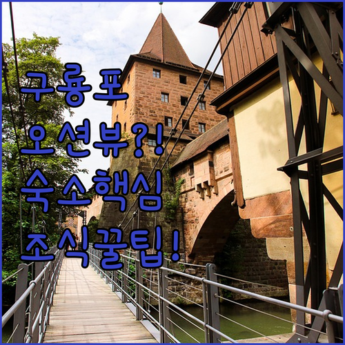 포항 구룡포 오션뷰 카라반 호텔 시내..