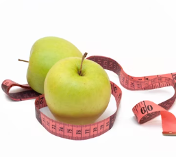 비만에 좋은 음식 영양제 식단