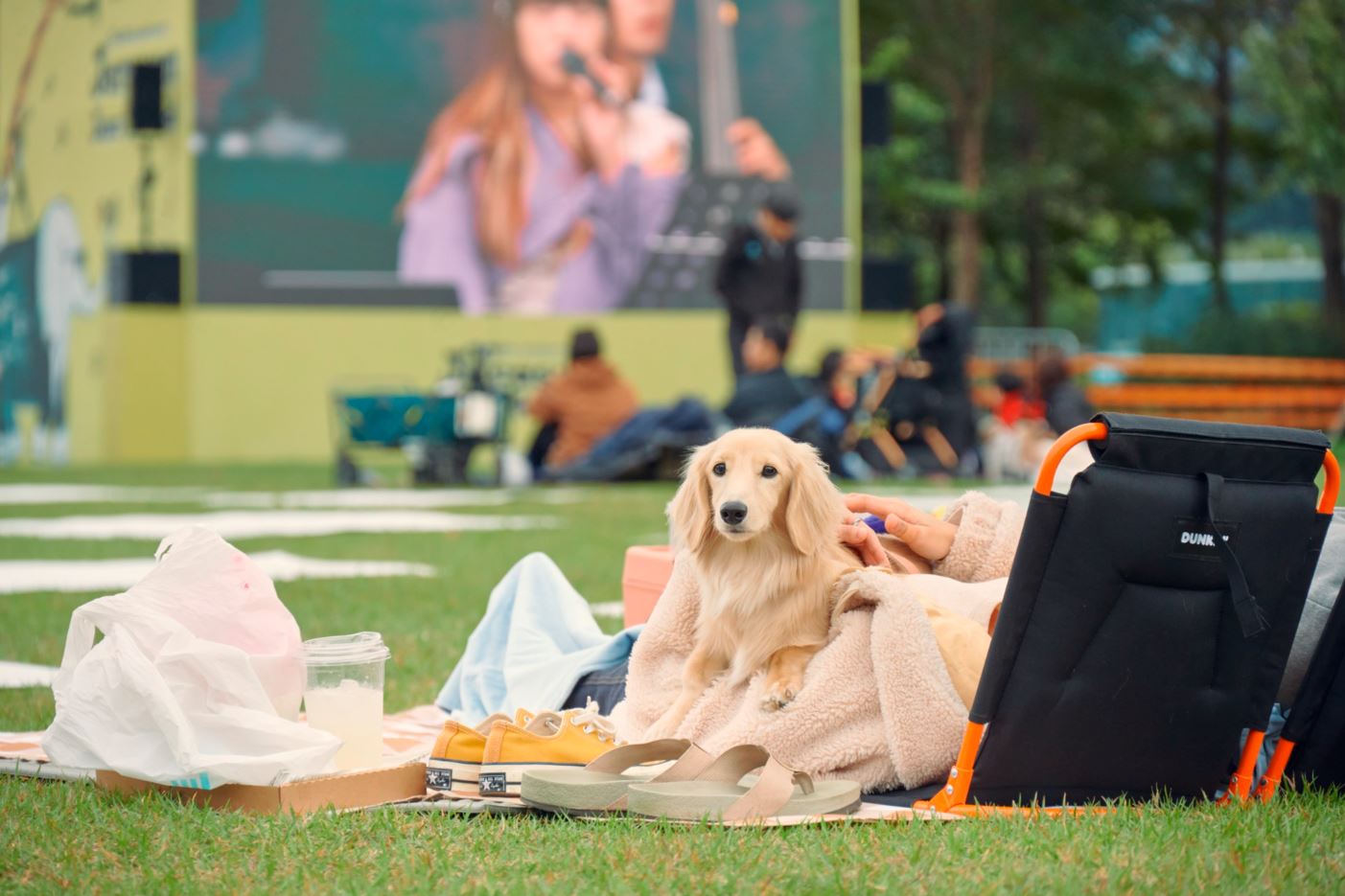 자라섬 재즈페스티벌