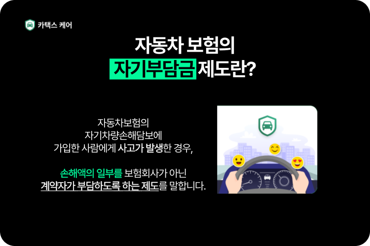 자동차보험자기부담금제도