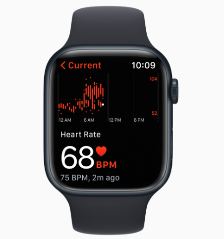 Apple Watch (ECG 및 심박수 표시)