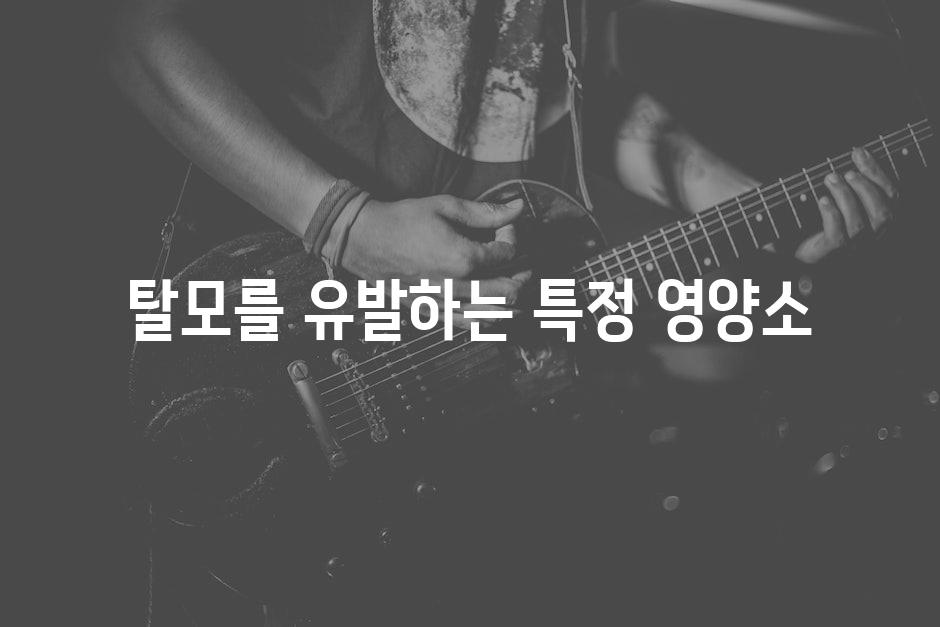 탈모를 유발하는 특정 영양소